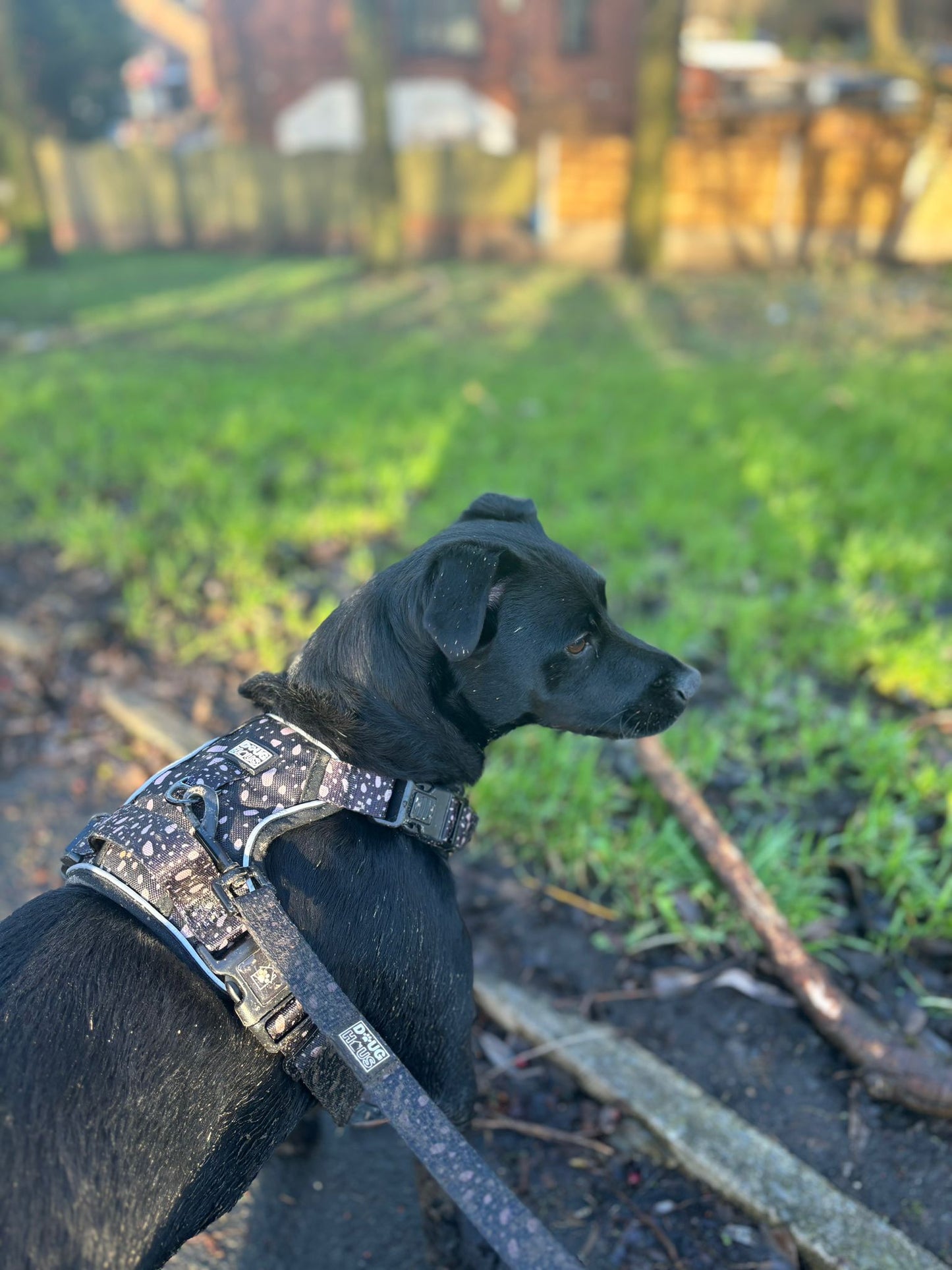 Neutrals Harness - Black