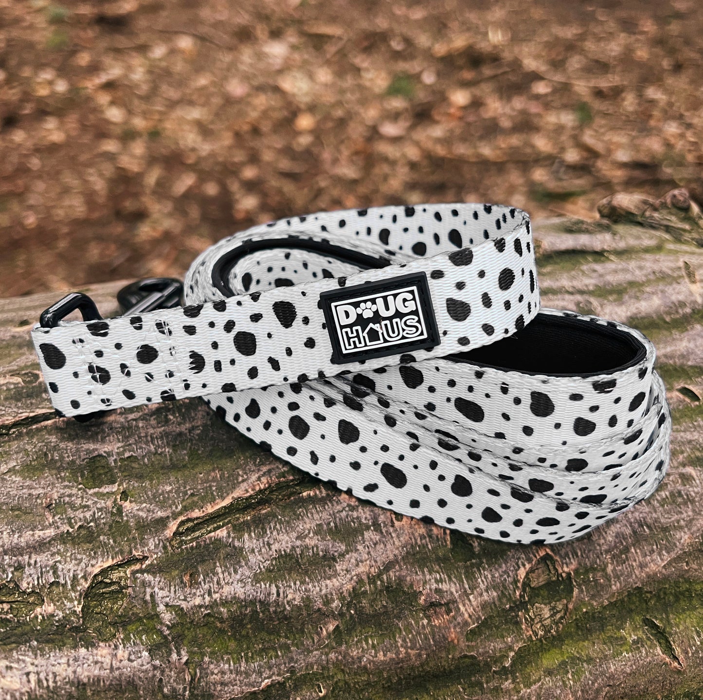 Neutrals Lead - White