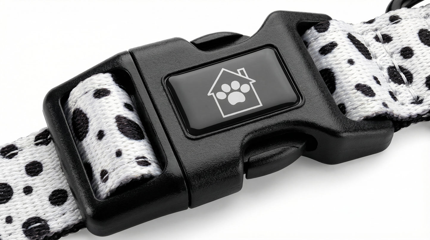Adjustable Dog Collar | Premium Neutral Dog Collar for Everyday Walks