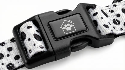 Adjustable Dog Collar | Premium Neutral Dog Collar for Everyday Walks