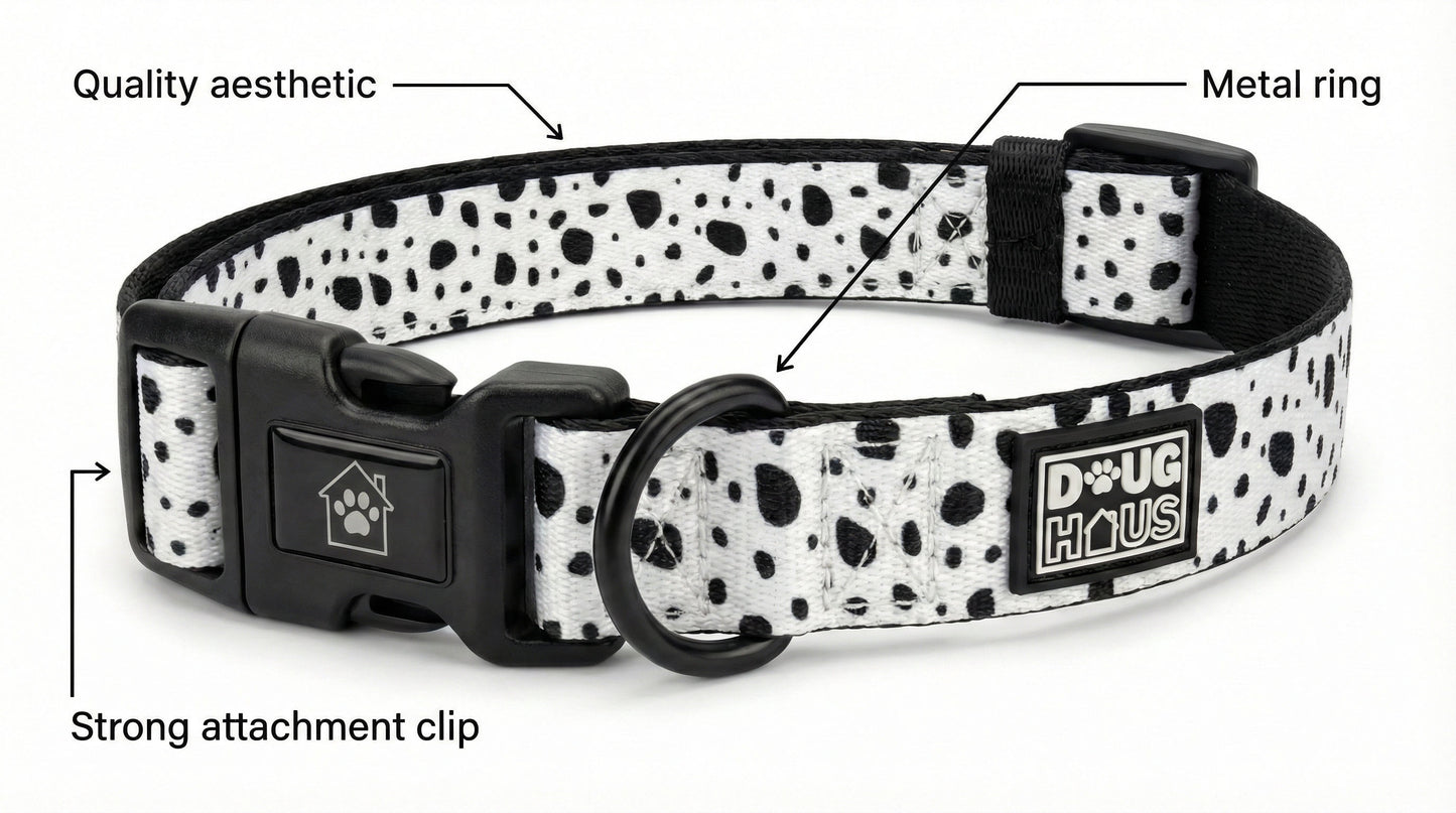 Stylish neutral dog collar with metal buckle