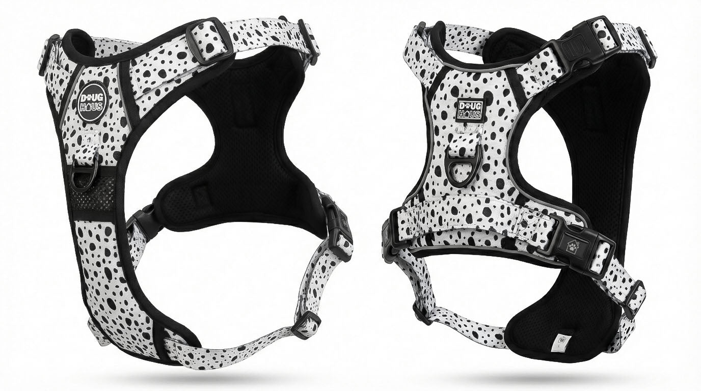 Adjustable Dog Harness | Premium Neutral Dog Harness for Everyday Walks
