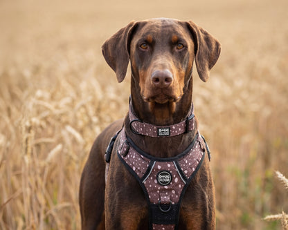 Premium adjustable neutral dog harness by Doug Haus